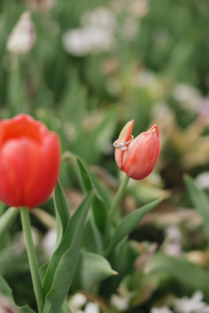 engagement details at Dallas Arboretum and Botanical Gardens garden engagement photos in spring