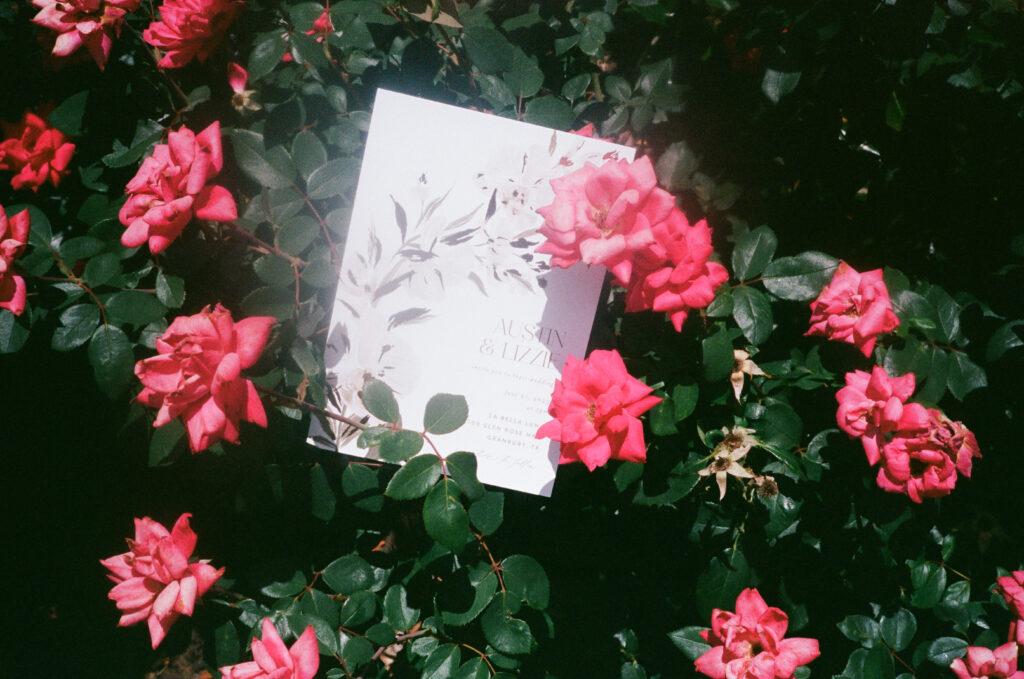 Wedding photography on film of a wedding invite in a floral bush.